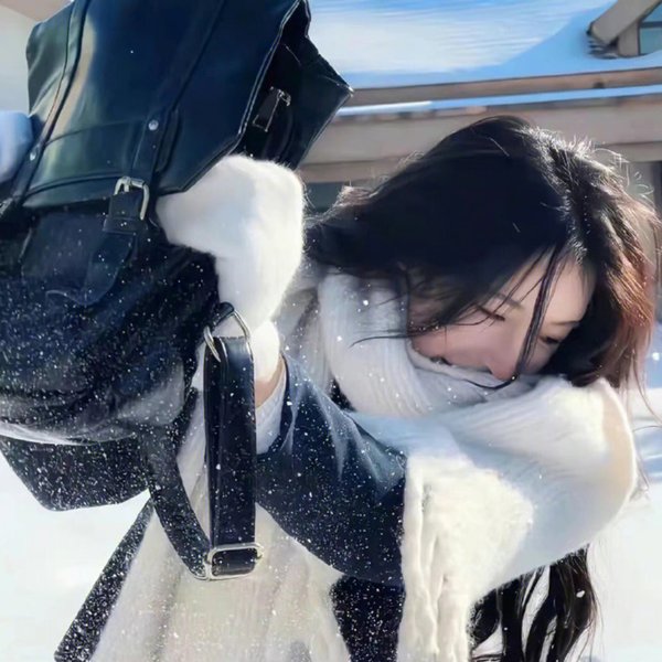 盗贼生涯